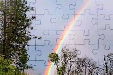 25 jigsaw puzzle