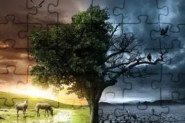 29 jigsaw puzzle