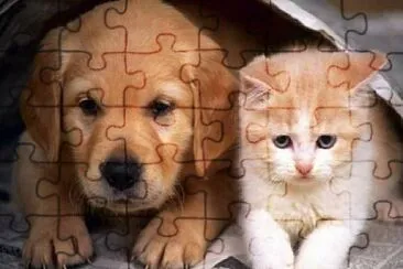 PET jigsaw puzzle