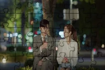 whats wrong with secretary kim jigsaw puzzle