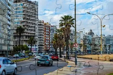 Rambla de playa Pocitos jigsaw puzzle