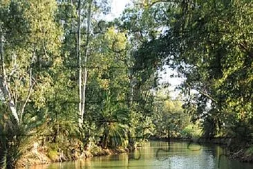 Lago Pque Rodo