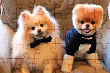 imagem jigsaw puzzle