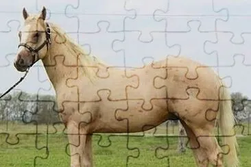 Tawleed jigsaw puzzle