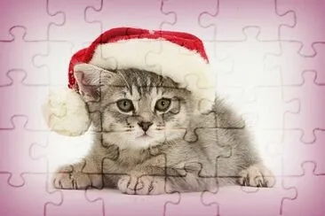 imagem jigsaw puzzle