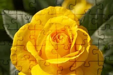 imagem jigsaw puzzle