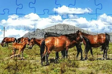 imagem jigsaw puzzle