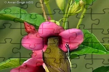 flores jigsaw puzzle