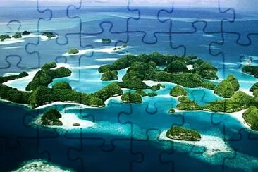 Ecu jigsaw puzzle