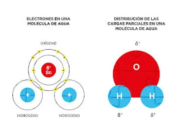 MolÃ©cula del agua jigsaw puzzle
