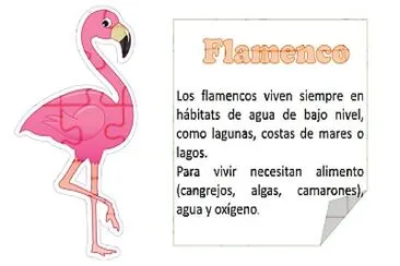 FLAMENCO