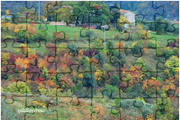 autunno in Valpolicella jigsaw puzzle