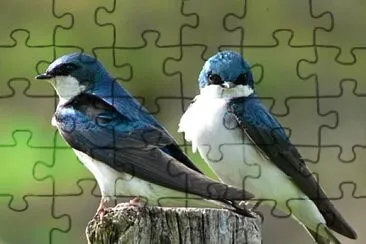 natural jigsaw puzzle