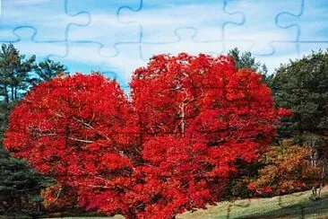 love jigsaw puzzle