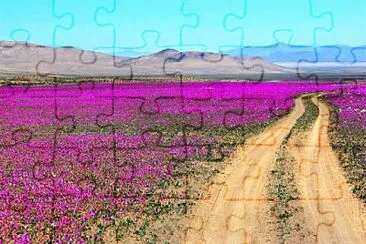 flores jigsaw puzzle