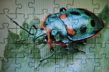 Gioiello metallizzato jigsaw puzzle