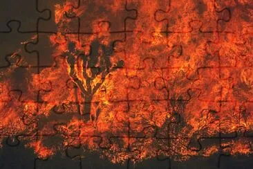 Joshua Tree being Consumed jigsaw puzzle