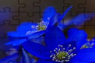 flores7 jigsaw puzzle