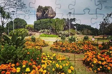 pedra da cebola jigsaw puzzle