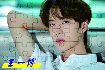 ä¸­åœ‹å¤§é™¸ é™³æƒ…ä»¤ çŽ‹ä¸€åš jigsaw puzzle