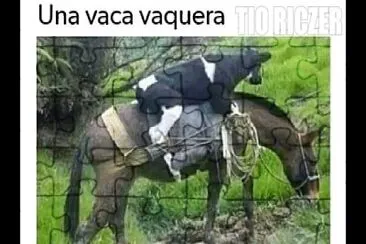 פאזל של vaca