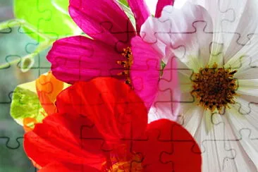 flower medley jigsaw puzzle