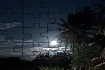 A moonlight drive home - Molokai, Hawaii jigsaw puzzle