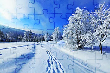 snow jigsaw puzzle