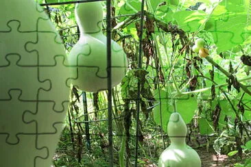 Gourds jigsaw puzzle