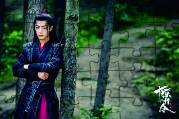 ä¸­åœ‹å¤§é™¸ é™³æƒ…ä»¤ é­å¬° jigsaw puzzle