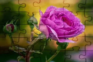 flores jigsaw puzzle