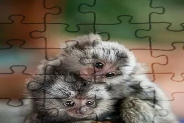 Mini monkey jigsaw puzzle