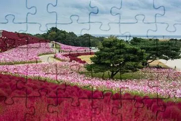 imagem jigsaw puzzle