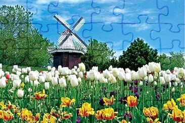 Foto jigsaw puzzle