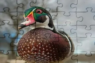 CENÃRIO K205 jigsaw puzzle