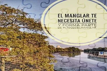 manglares de parque lineal jigsaw puzzle