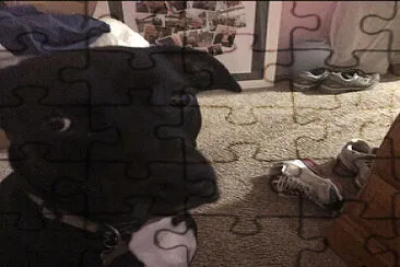 a cute dog jigsaw puzzle