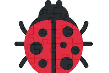 Ladybug