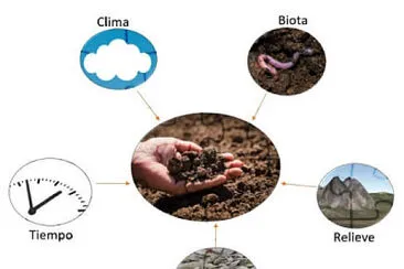 factores de formaciÃ³n jigsaw puzzle