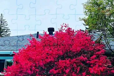 flores jigsaw puzzle