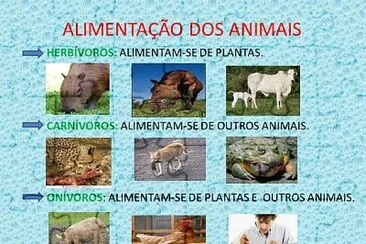 AlimentaÃ§Ã£o dos animais jigsaw puzzle