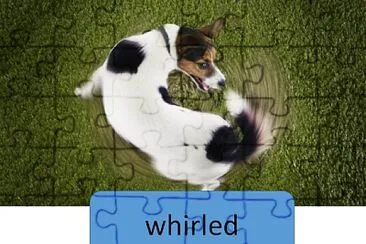 פאזל של whirled