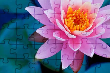 Caridade - desenho jigsaw puzzle