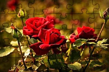 teste jigsaw puzzle