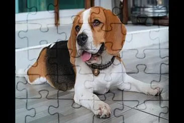 Cachorro Fofo jigsaw puzzle