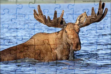 Foto jigsaw puzzle