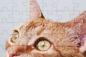 Natal em famÃ­lia jigsaw puzzle