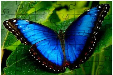 Las mariposas jigsaw puzzle