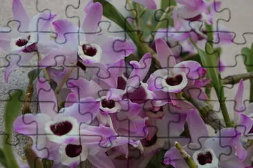 Flores jigsaw puzzle