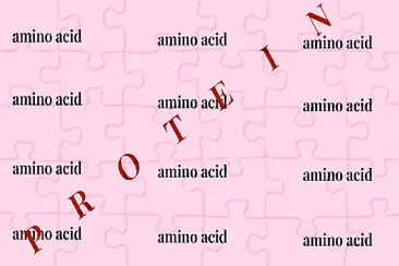 organic molecule jigsaw puzzle